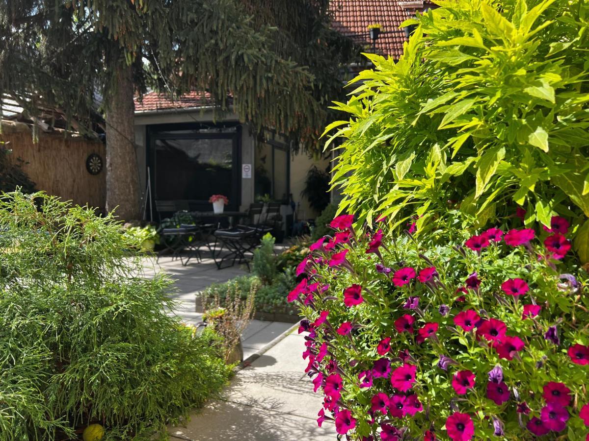 Margareta Garden & Spa Eger Exterior photo